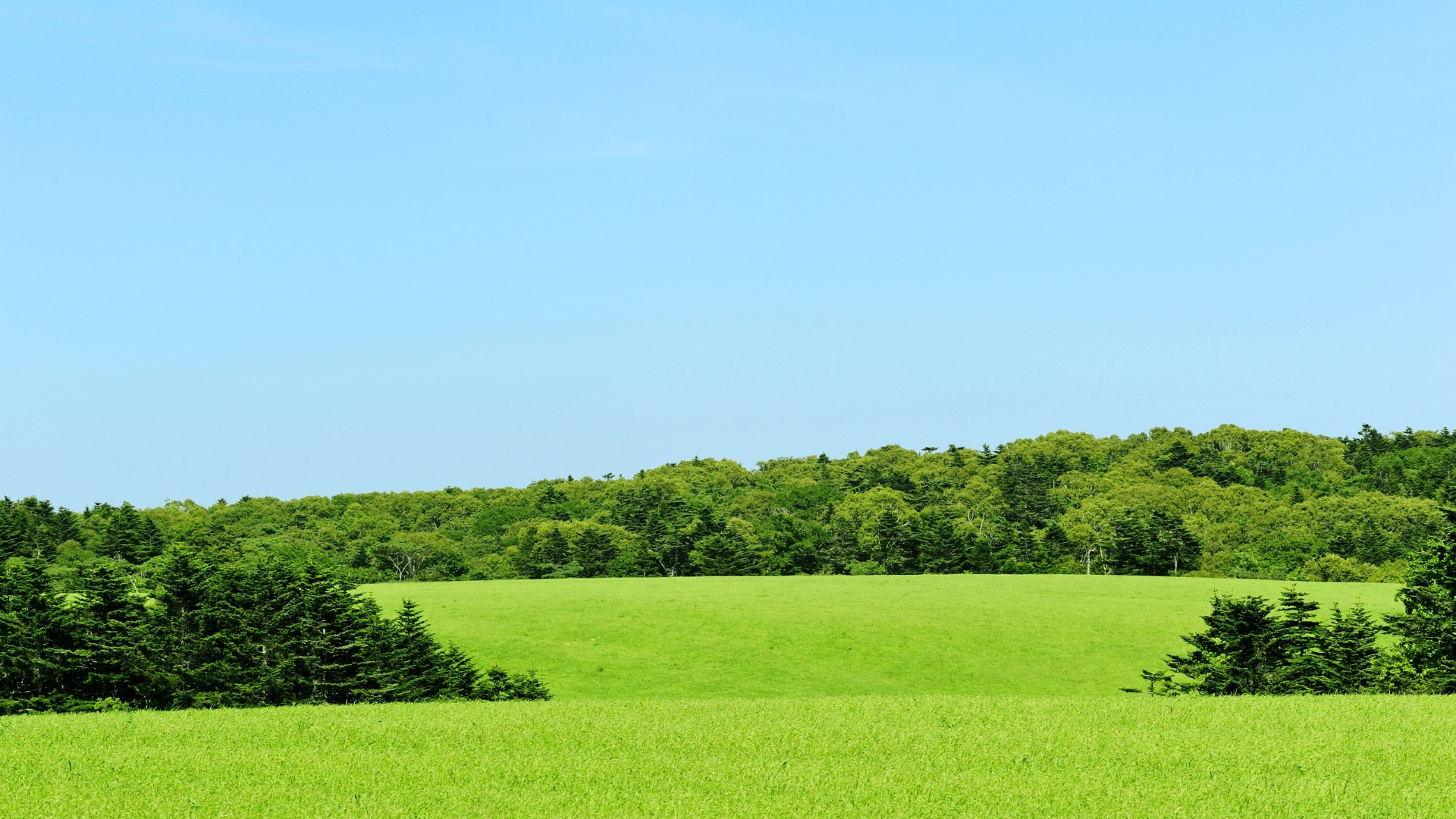 green belt UK