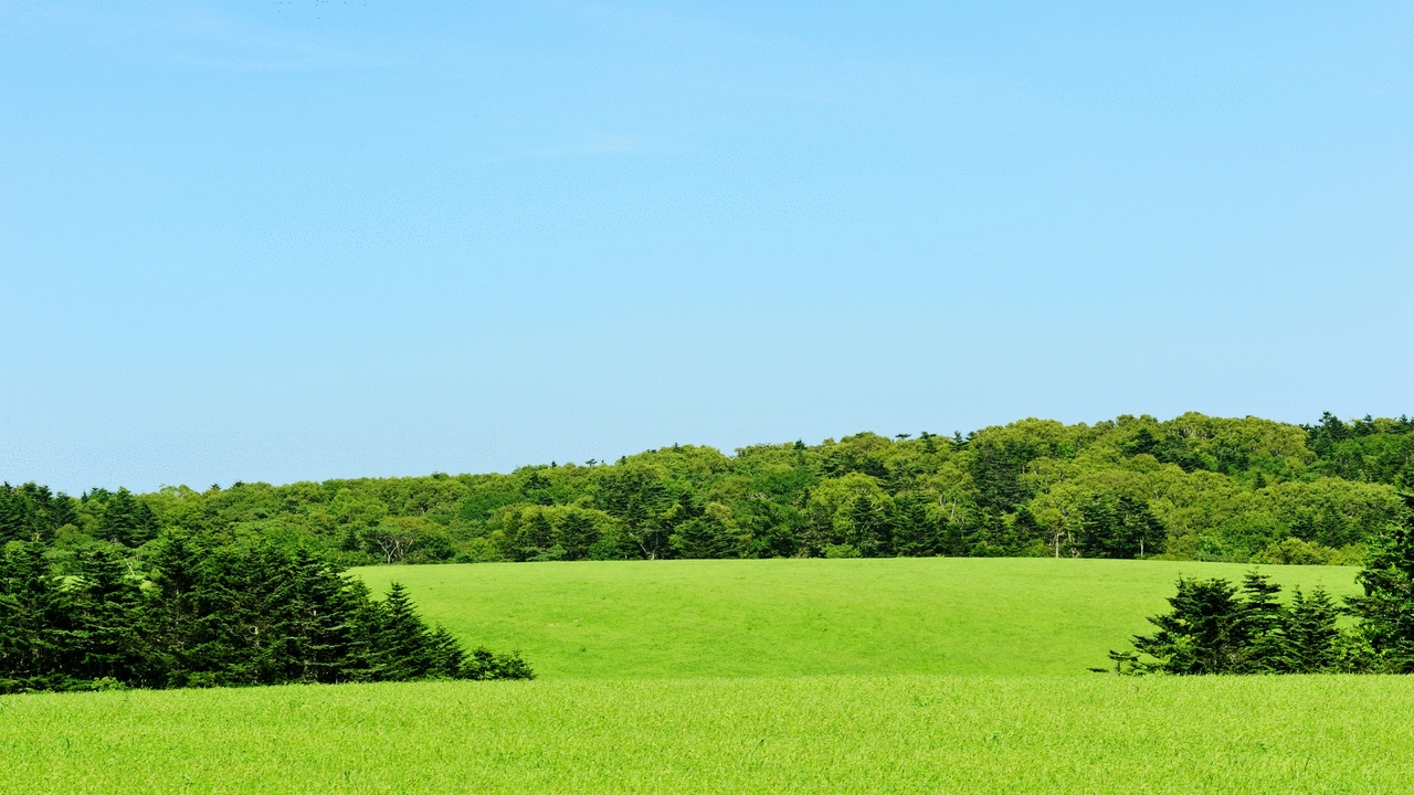 green belt UK