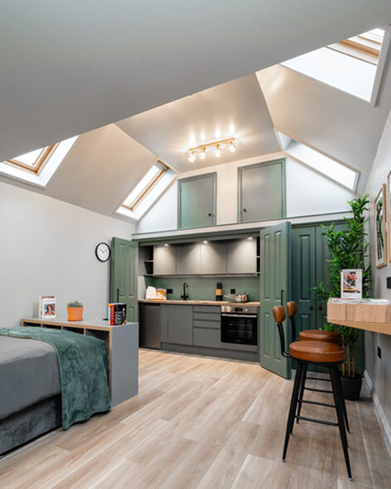 Bright loft studio apartment with skylights in Oxfordshire, offering a balanced living space for regional professionals